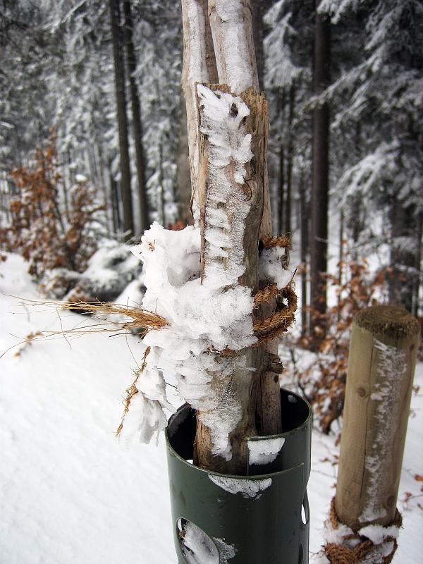 2010 01 29 A